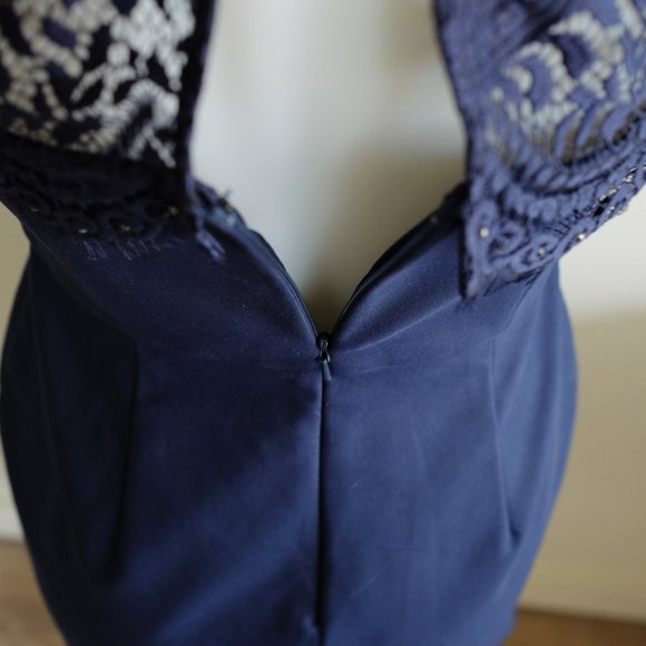 Ever New eyelash lace and crystal cocktail dress - Picture 6 of 13